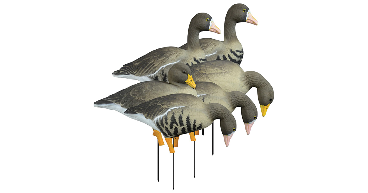 Higdon Apex Full-Body Specklebelly Decoys.jpg